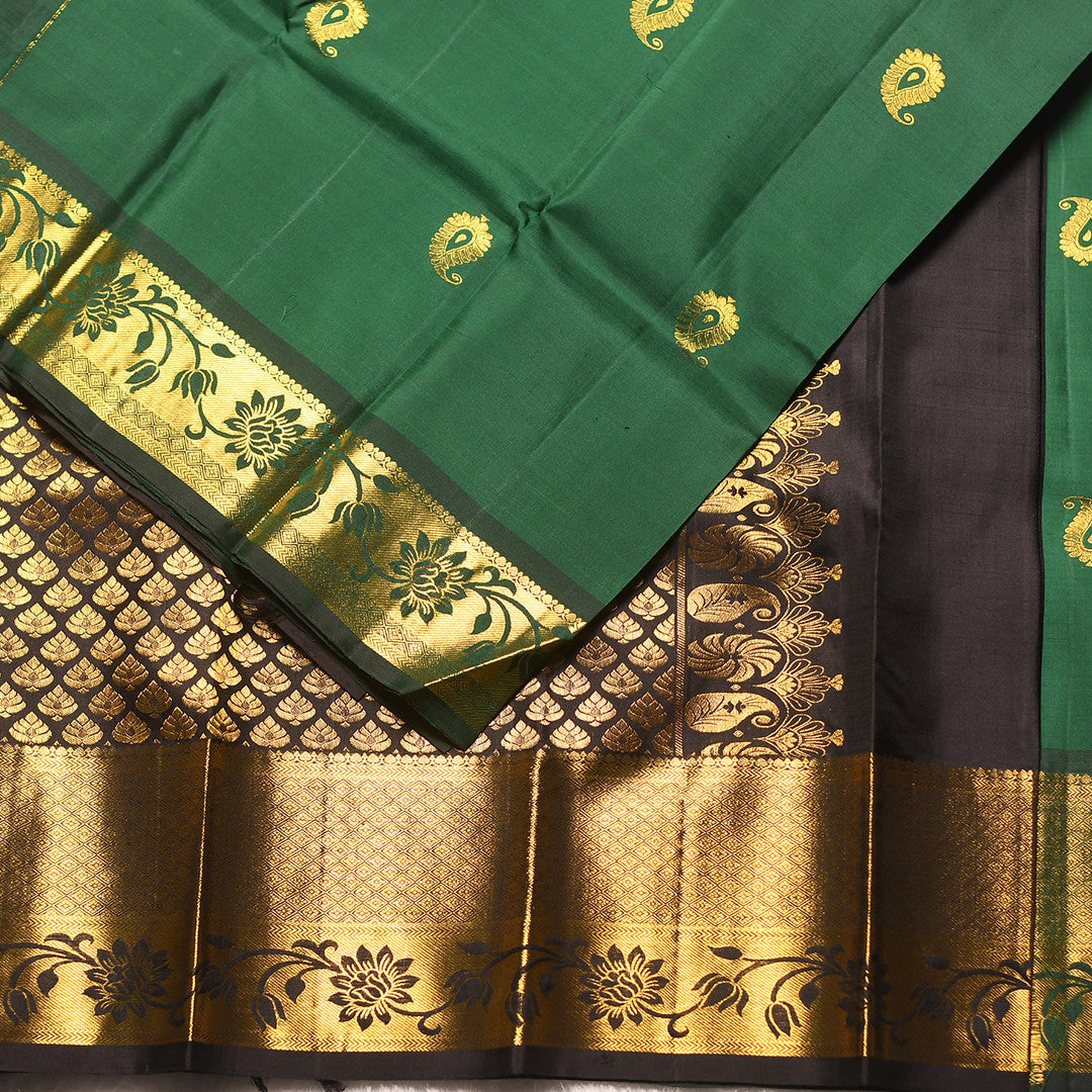 HV-2435 (6Yards saree )