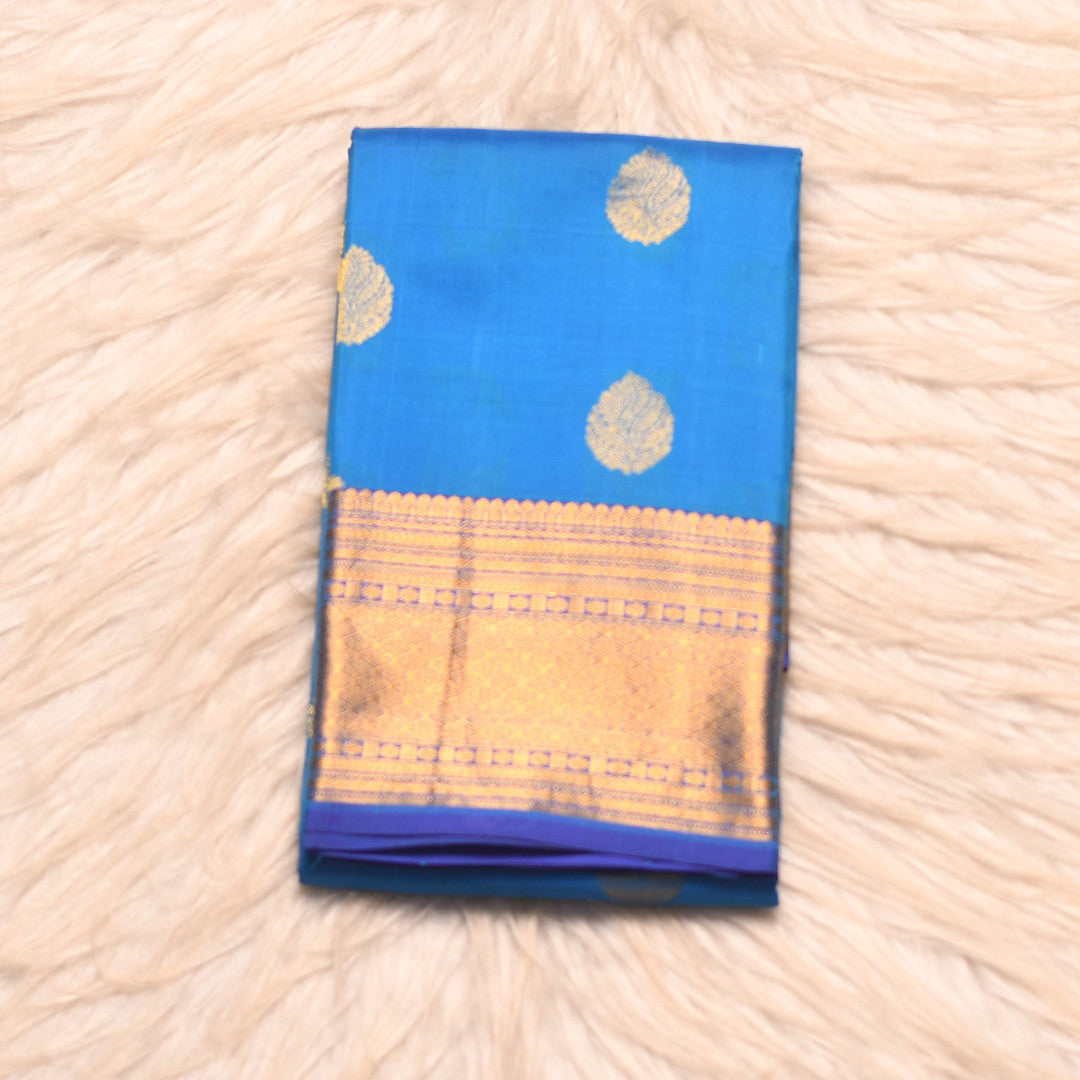HV 1418 (6 Yards Saree)