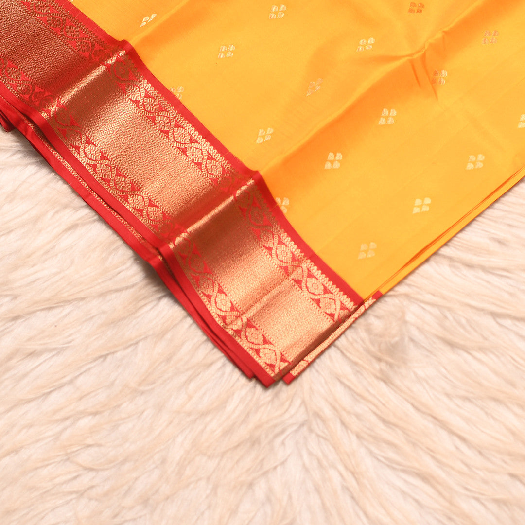 HV 1848 (6 Yards Saree)