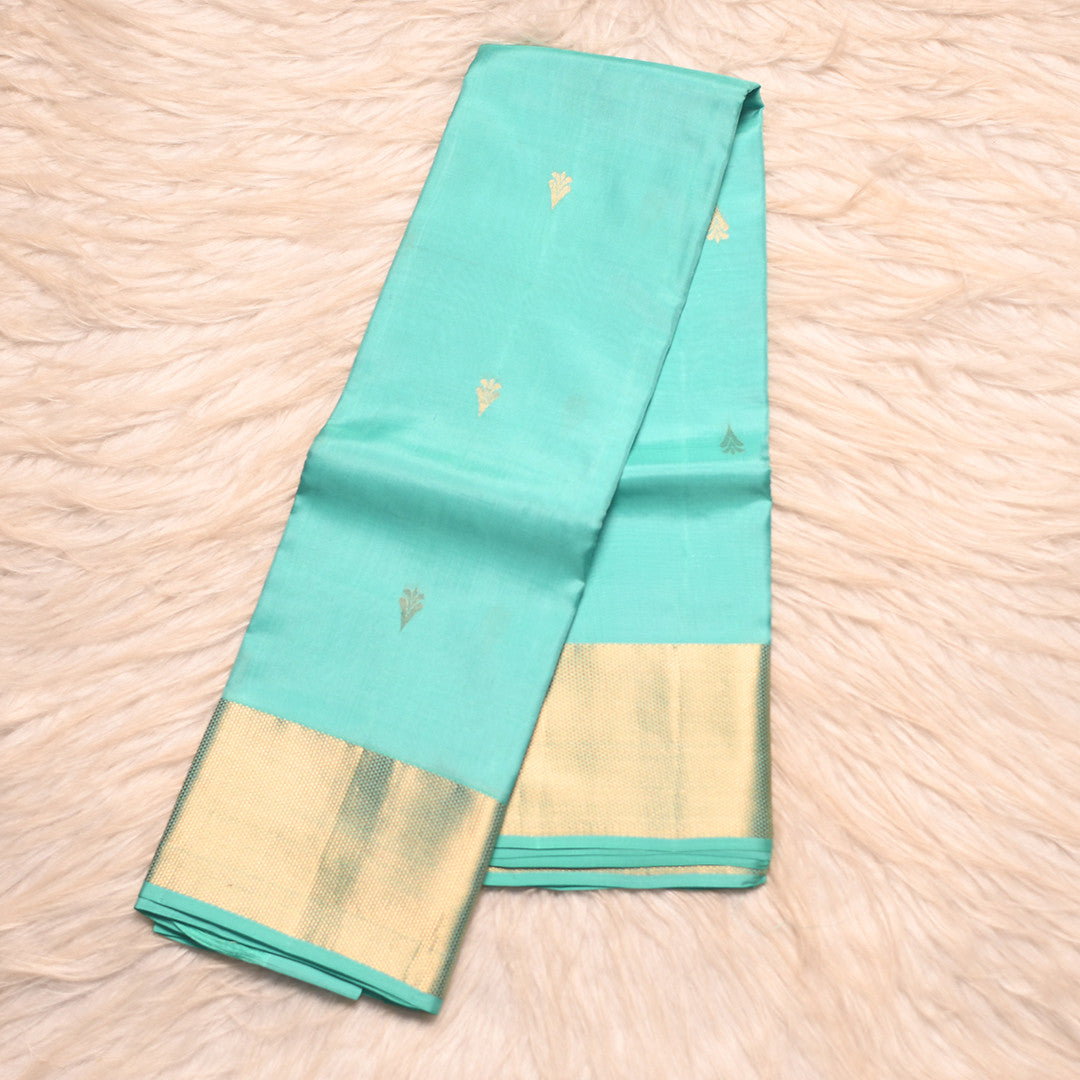 HV 1966 (6 Yards Saree)
