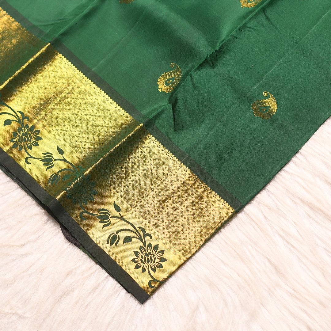 HV-2435  (6Yards saree )