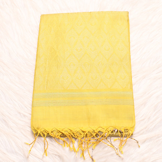 H.V 3366 (6 Yards Saree)