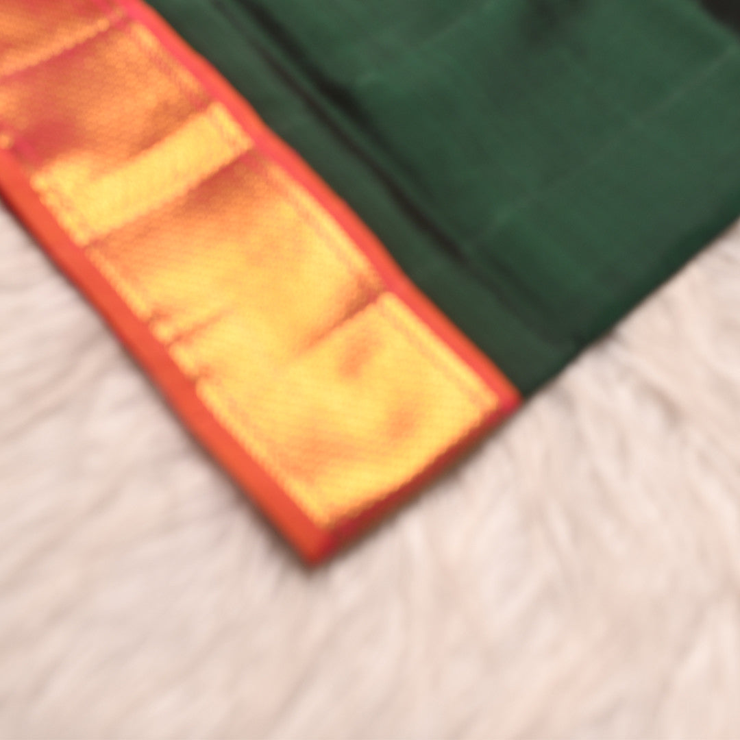 L 3 (9 yards silk sari)