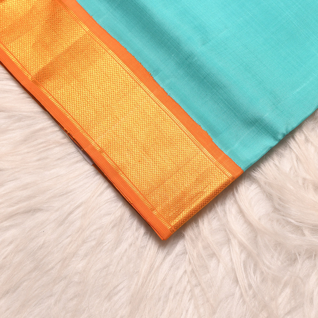 L- 6 (9 yard silk sari)