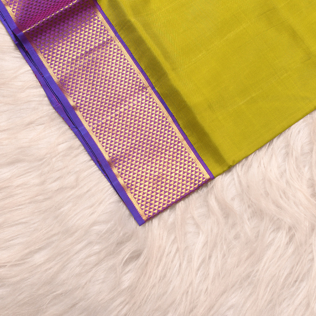 L - 9 (9 yard silk sari)