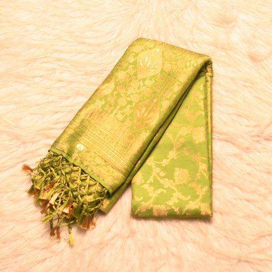 LV-2846 (6 Yards saree)